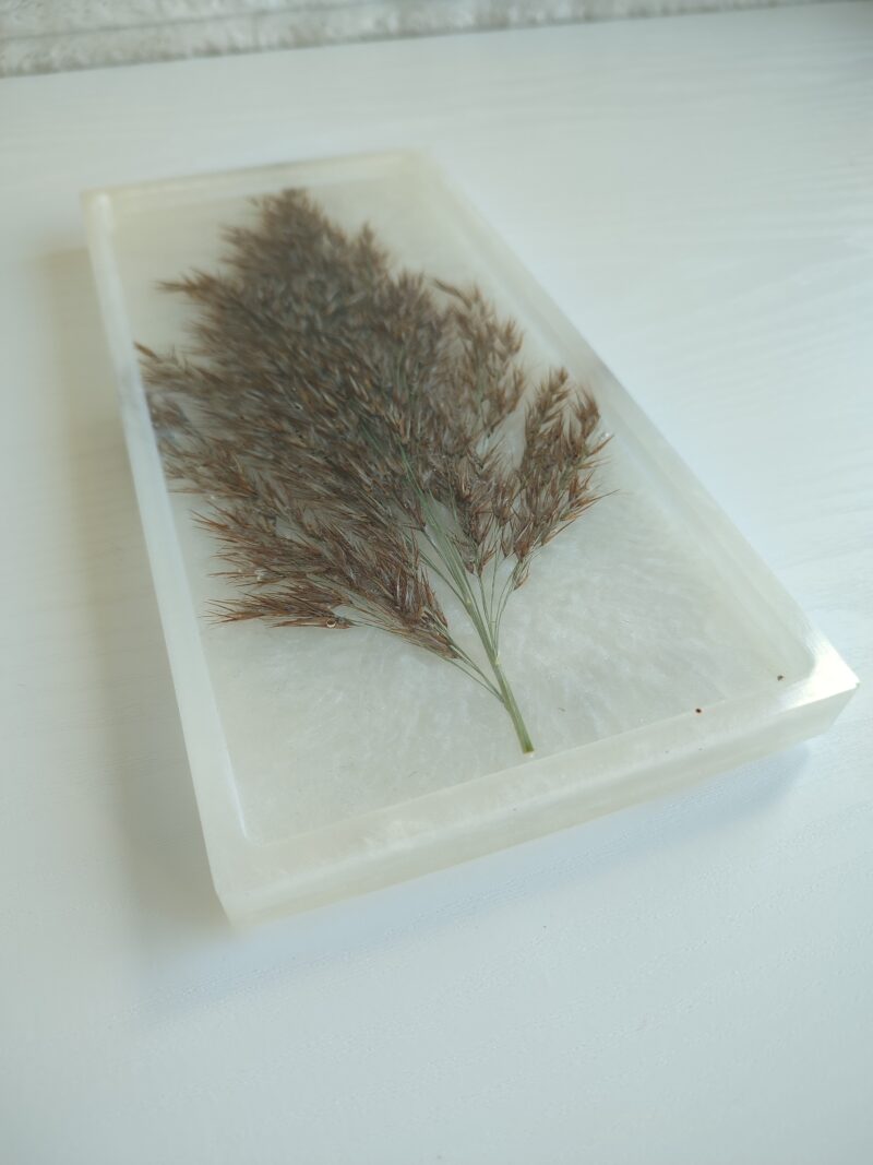 Epovaigust alus kuivatatud pillirooga valge - Image 3
