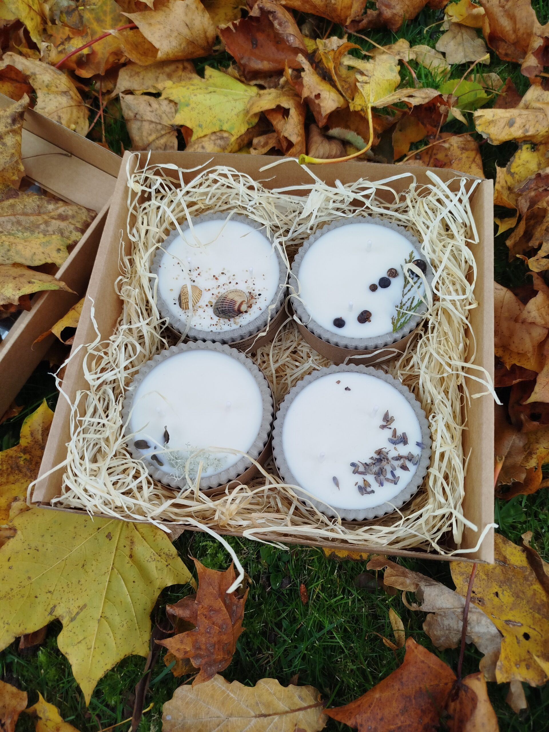 Kinkekomplekt KUIDAS LÕHNAB HIIUMAA - Image 4