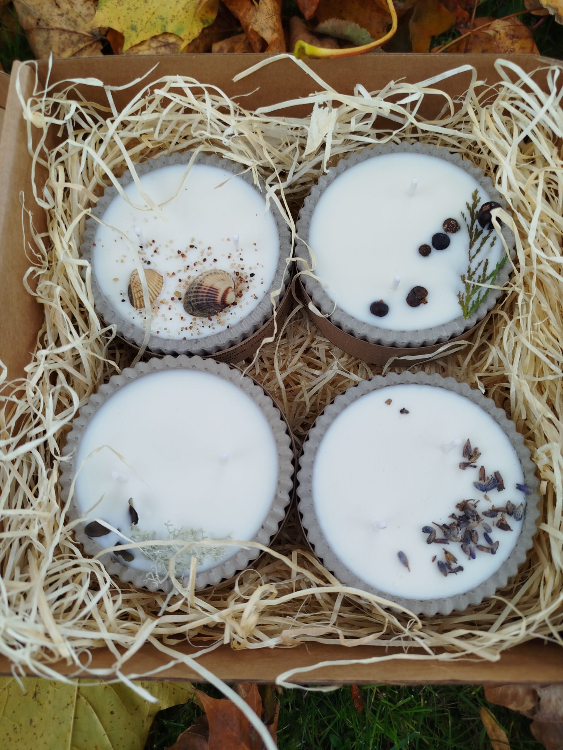 Kinkekomplekt KUIDAS LÕHNAB HIIUMAA - Image 5